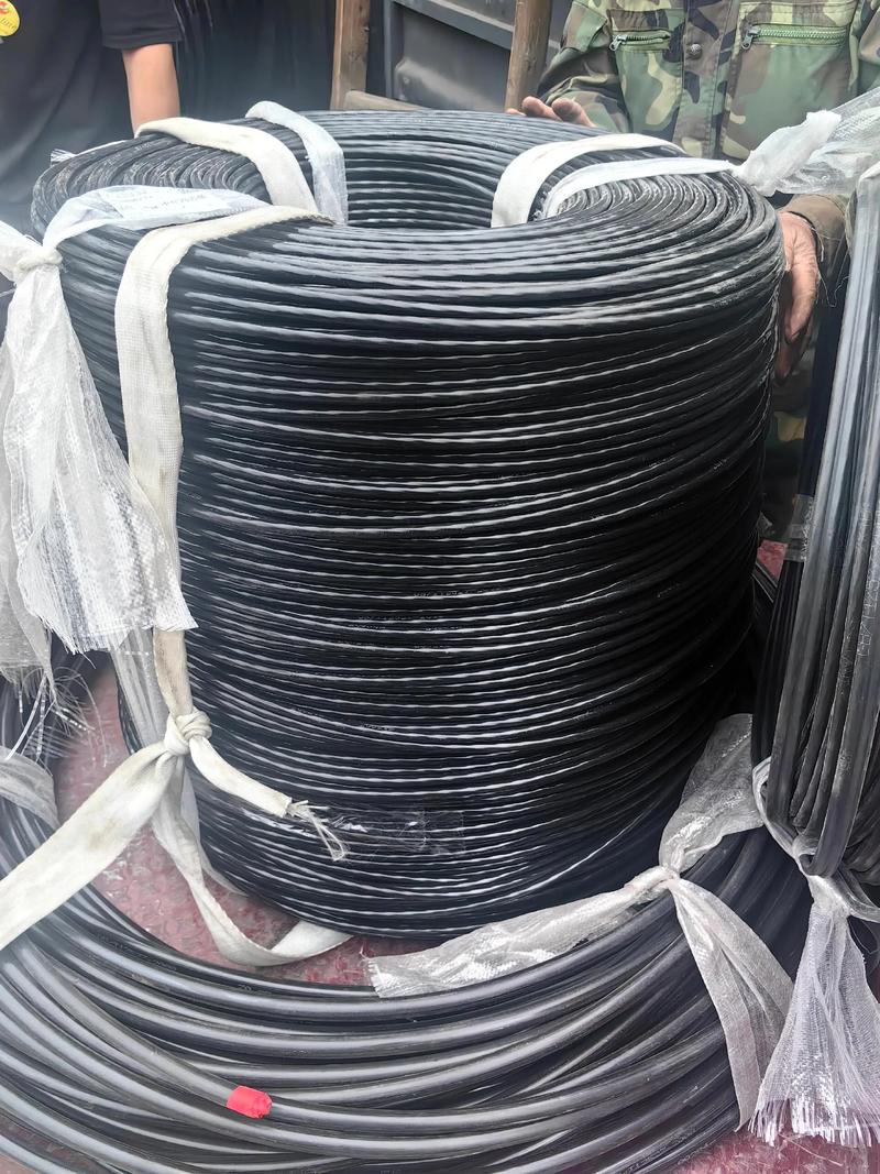 低壓電纜與架空絕緣導(dǎo)線 現(xiàn)代電力傳輸?shù)碾p重保障